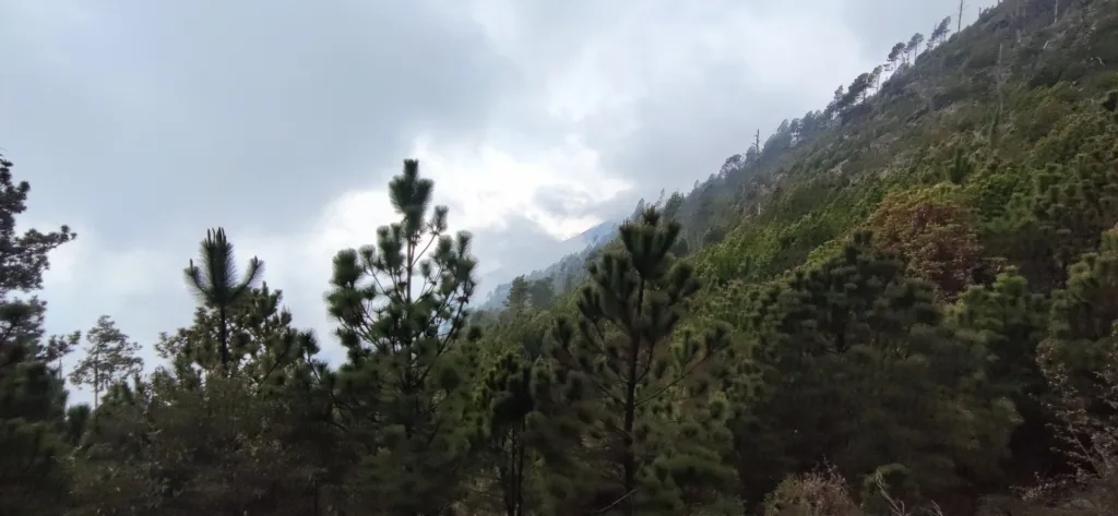 Vue du flanc de l'Acatenango