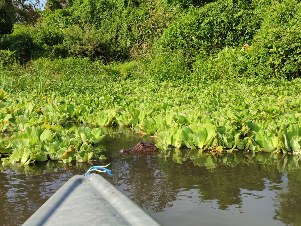 Le Río Istián